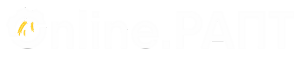 Online.РАПТ